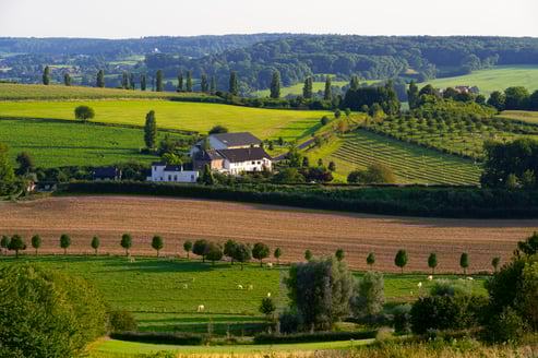 Landschap in Limburg