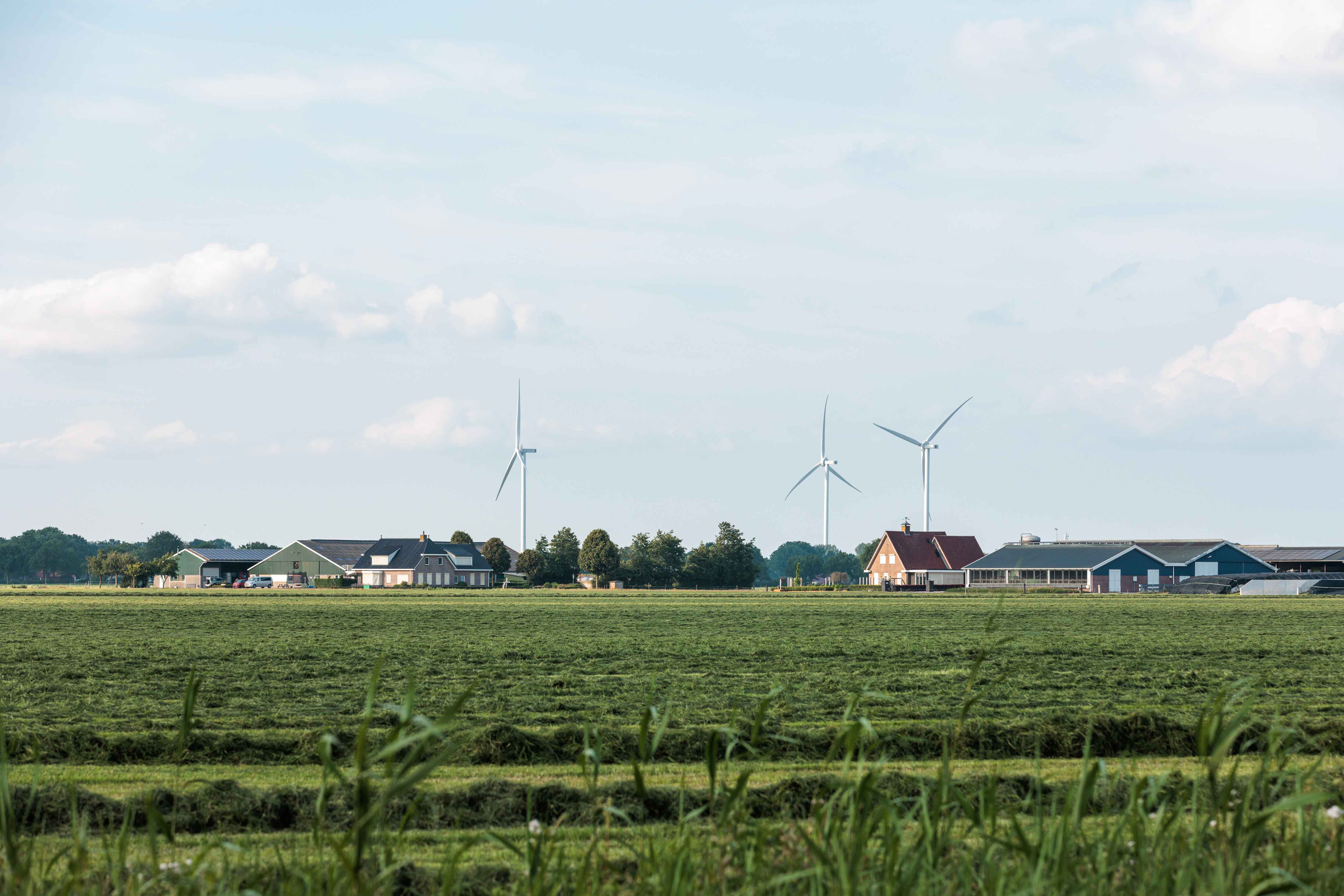 Groene velden vol gras met een aantal huizen en windmolens in de verte.
