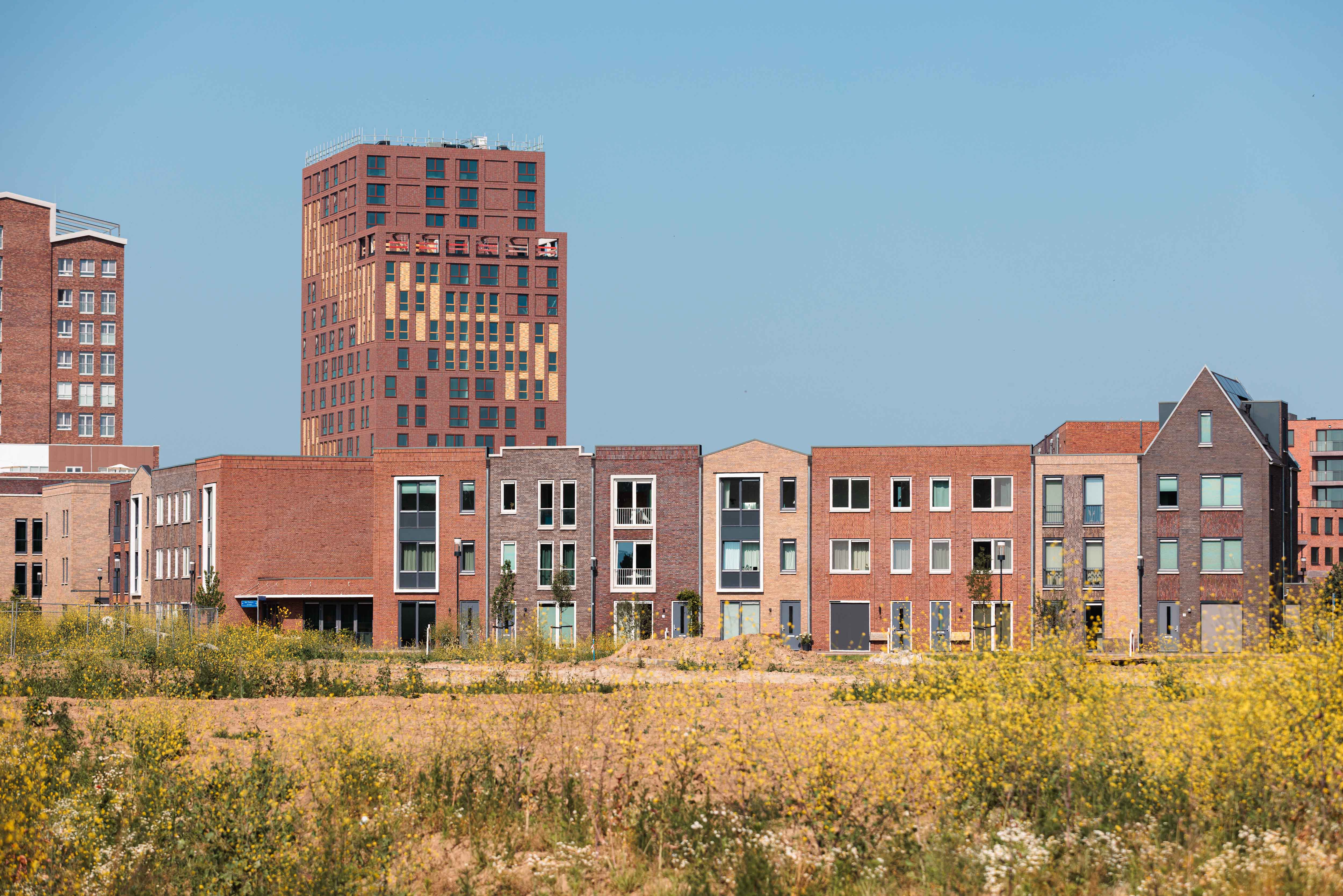 Een uitzicht op rijtjeshuizen achter een veld met grassen en wilde bloemen.