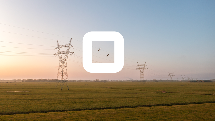 vogels-vliegen-in-zonsondergang-bij-hoogspanningsmasten-groen-veld