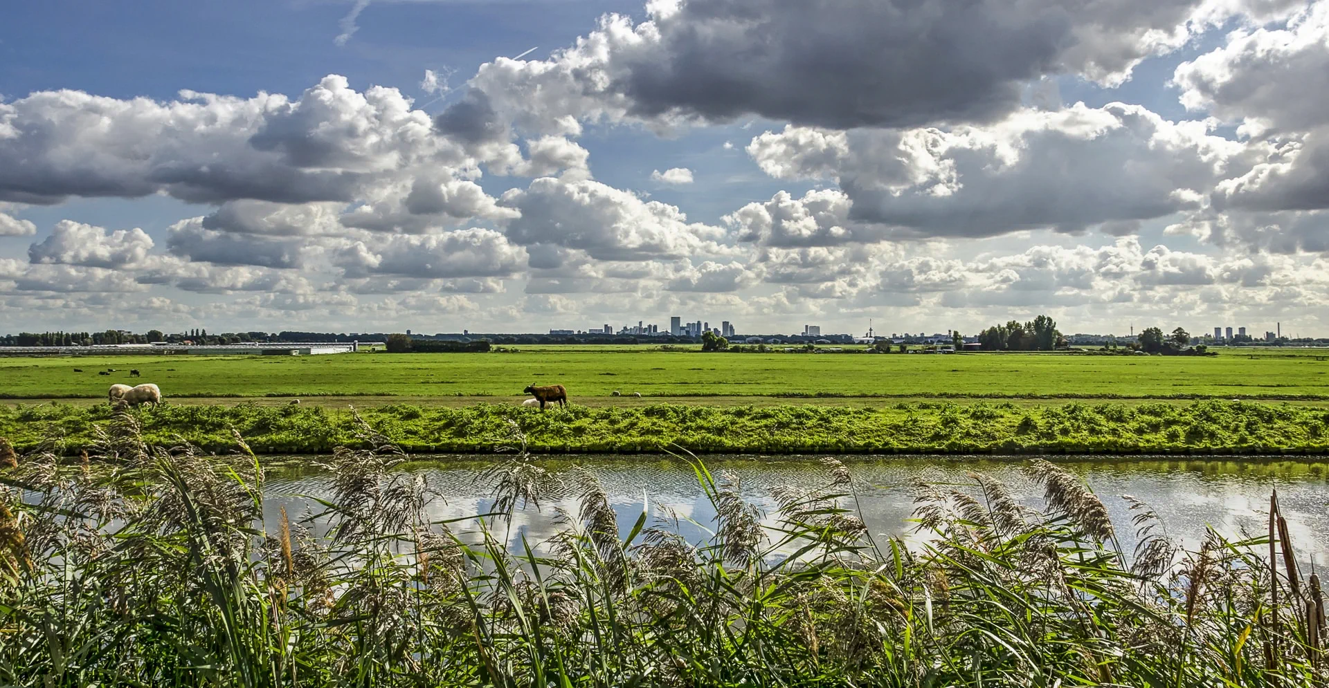PFAS-in-Nederland-header
