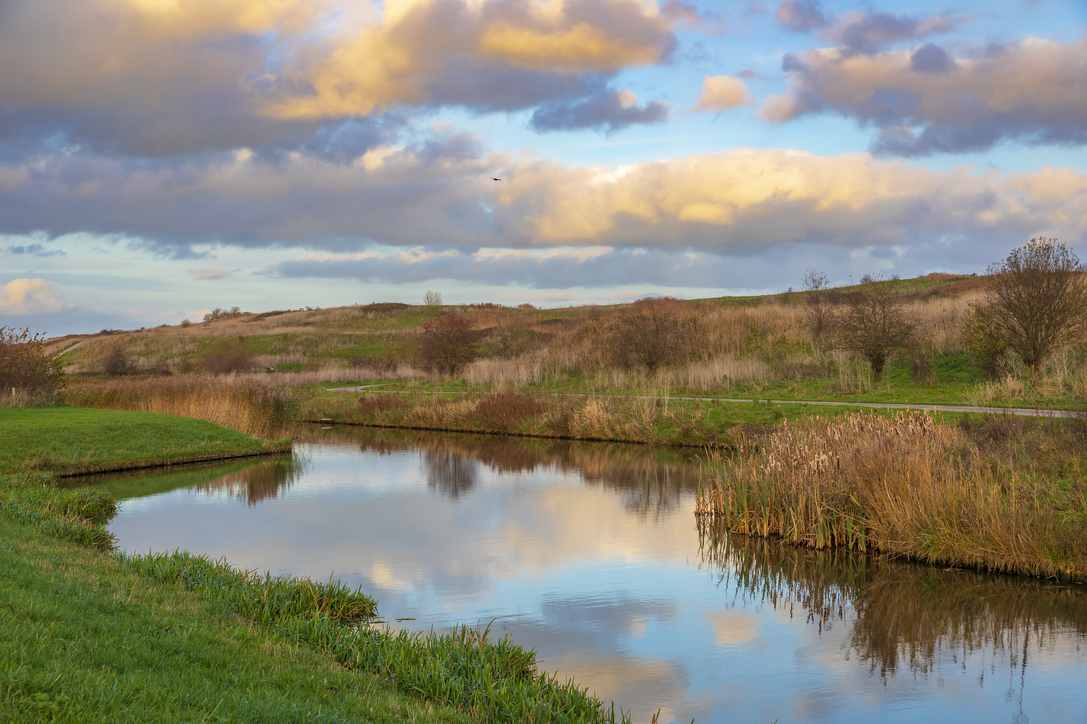 Foto van het Waterlandschap Buytenpark in Zoetermeer, Nederland