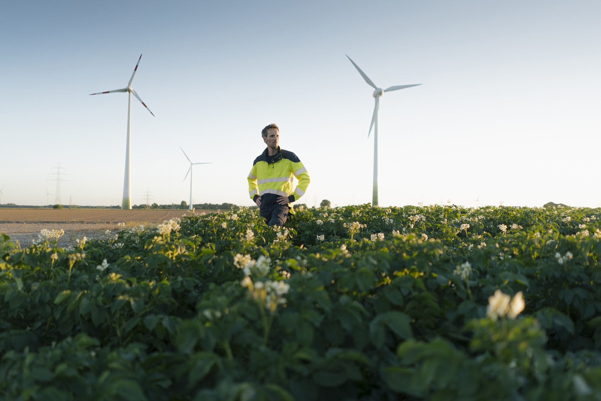 Boer bekijkt zijn gewas met op de achtergrond windmolens